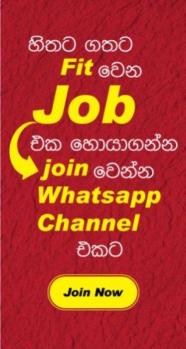 whatsapp job channel