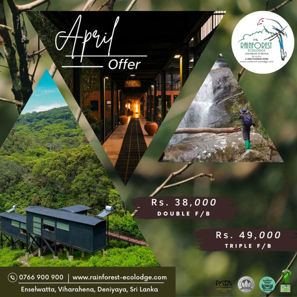 The Rainforest Ecolodge - Sri Lanka Accommodation Offer