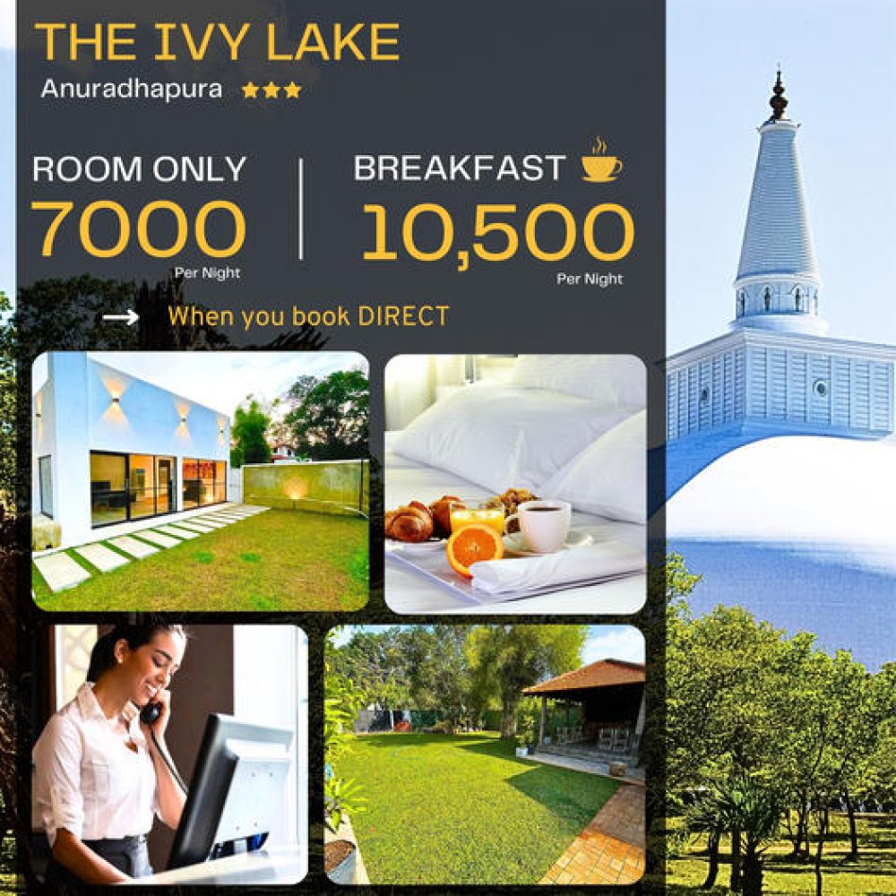 The IVY LAKE Accommodation Offer