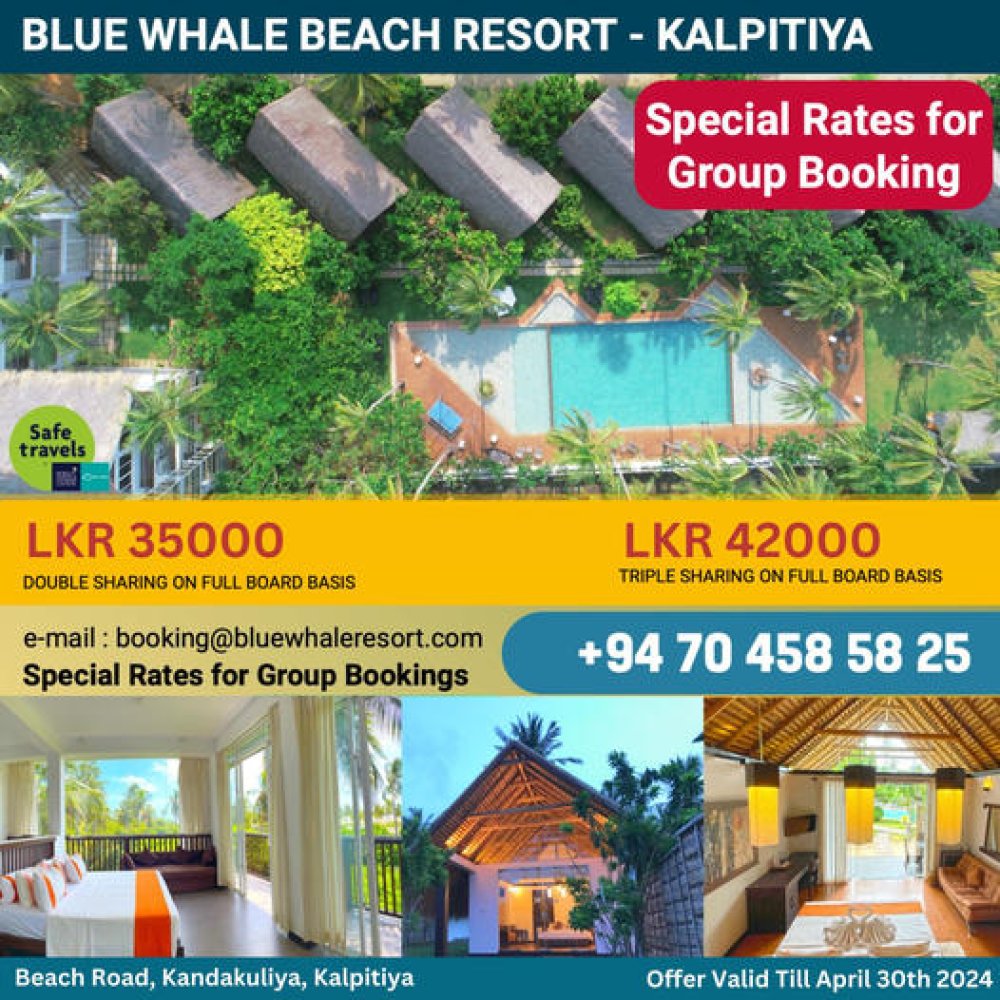 Blue Whale Resort Accommodation Offer