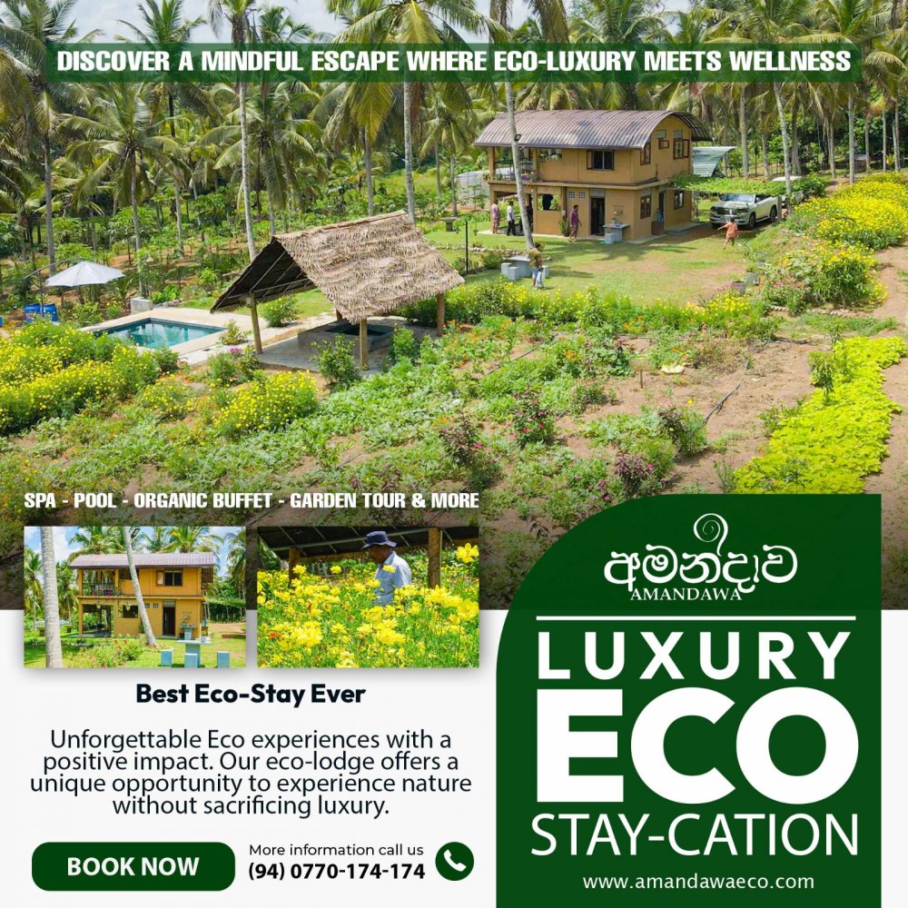 Amandawa Eco - Organic Senctuary Couple Day Outing Places Offer