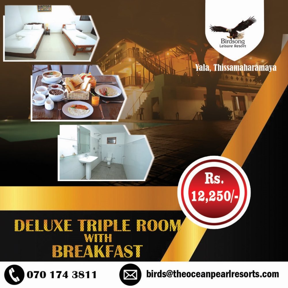 Birdsong Leisure Resort Accommodation Offer