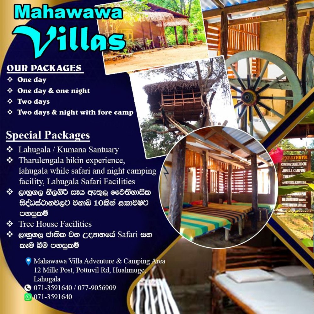 Mahawawa Villas & Kids Forest Park Accommodation Offer