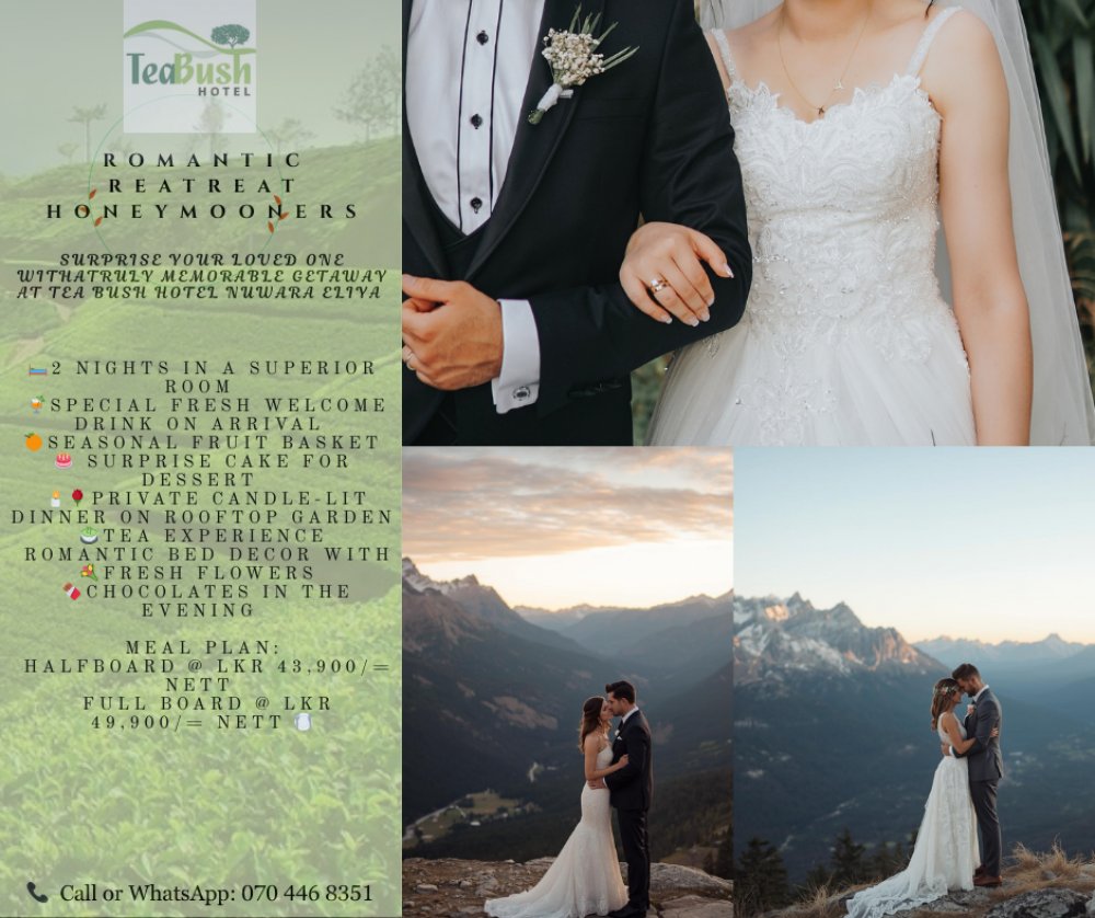 Tea Bush Hotel Honeymoon Packages Offer