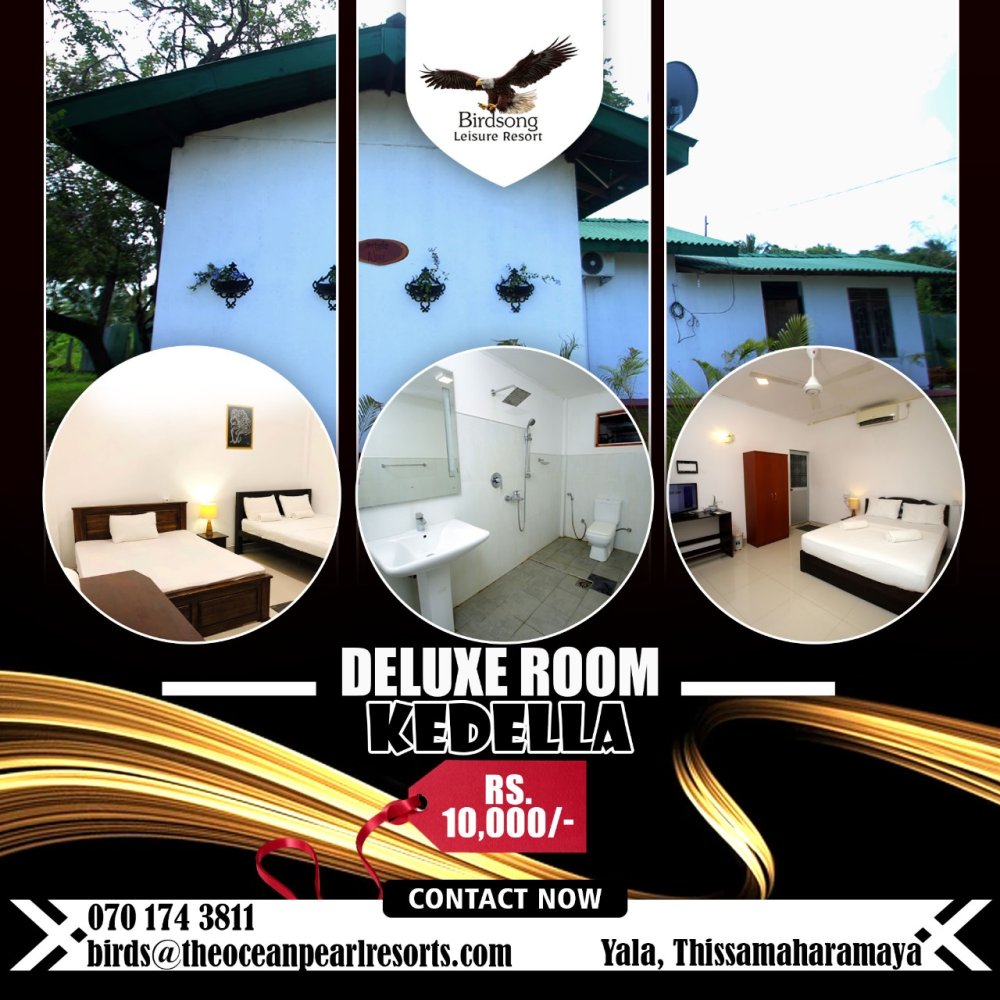 Birdsong Leisure Resort Accommodation Offer