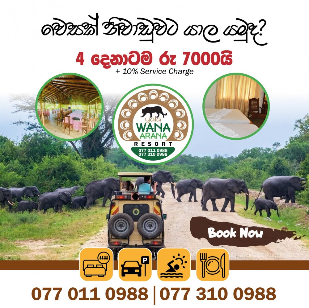 Yala Wana Arana Resort - Kataragama  Day Out Packages Offer