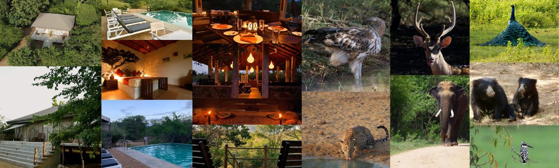 Kele Yala  Background image