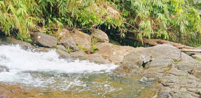 Eco Glamp Sinharaja Background image