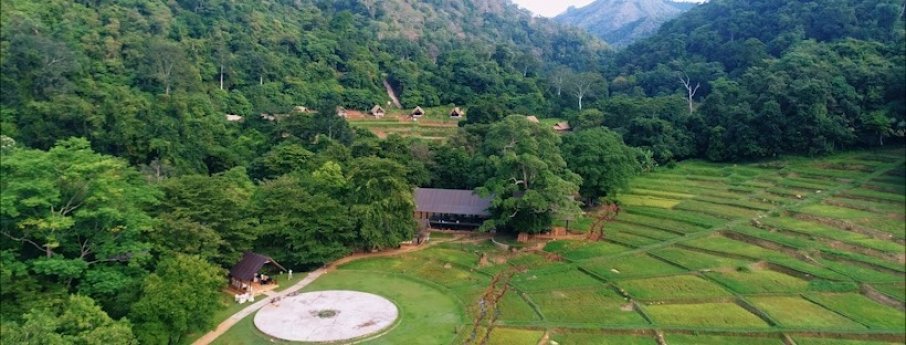 Clio Ella Resort Background image