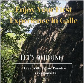 Great Villa Nature Paradise  logo