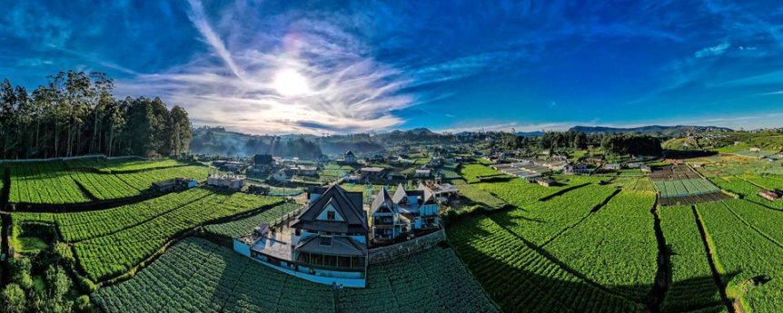Dream Cottage Nuwara Eliya Background image