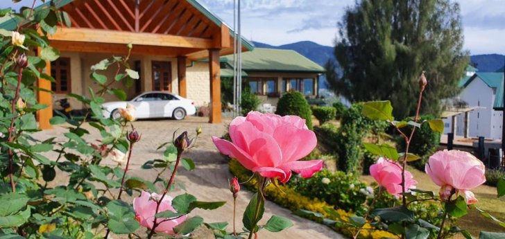 Tea Bush Hotel Background image