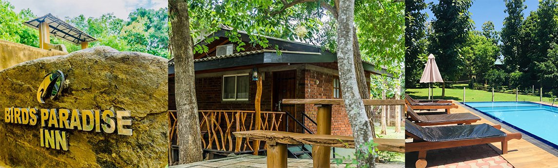 Birds Paradise Inn Background image