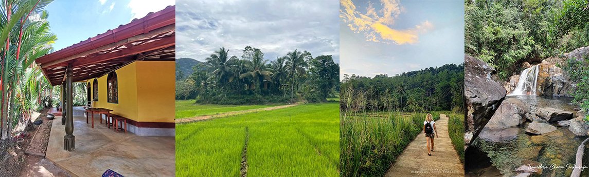 Traveller's choice sinharaja Background image