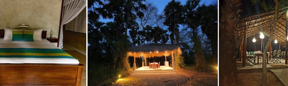 Wilpattu Safari Camp Background image
