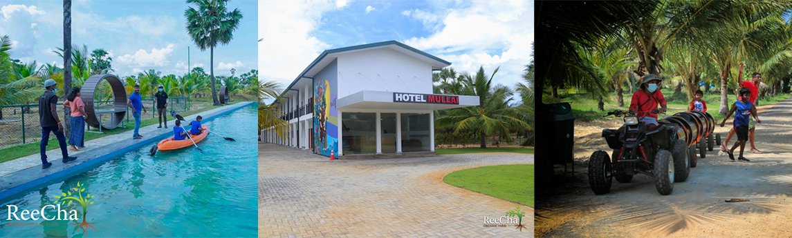 ReeCha Organic Farm-Pvt Ltd  Background image