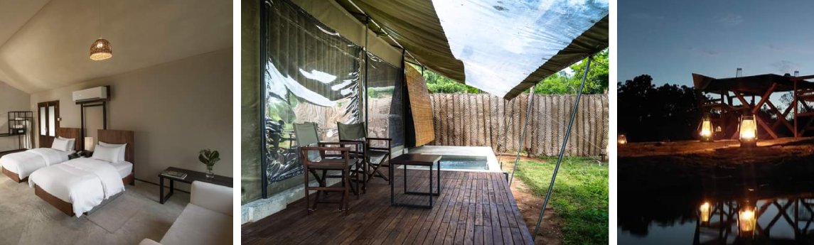 Ceylon Wild Safaris Background image