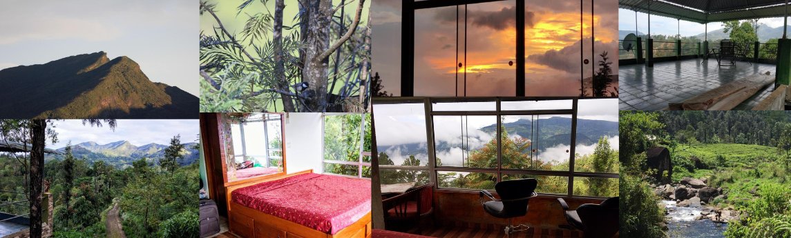 Rohana Estate Lodging & Camping-Knuckles Gomeraya  Background image