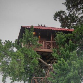 Animal View Point Yala  logo