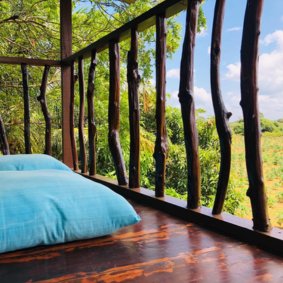 Yala Eco Tree House  logo