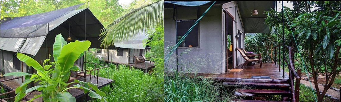 River Glamping by Gaga Bees Background image