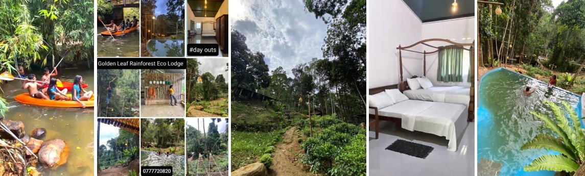 Golden Leaf Rain Forest Eco Lodge Background image