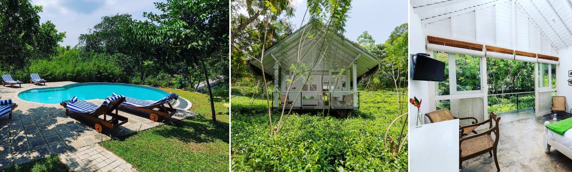 Ilukketiya Tea Chalets Background image