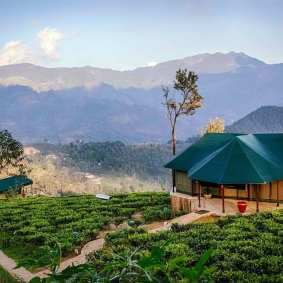 Madulkelle Tea and Eco Lodge logo