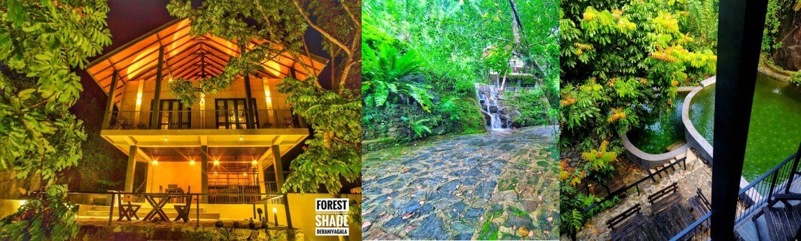Forest Shade Deraniyagala Background image
