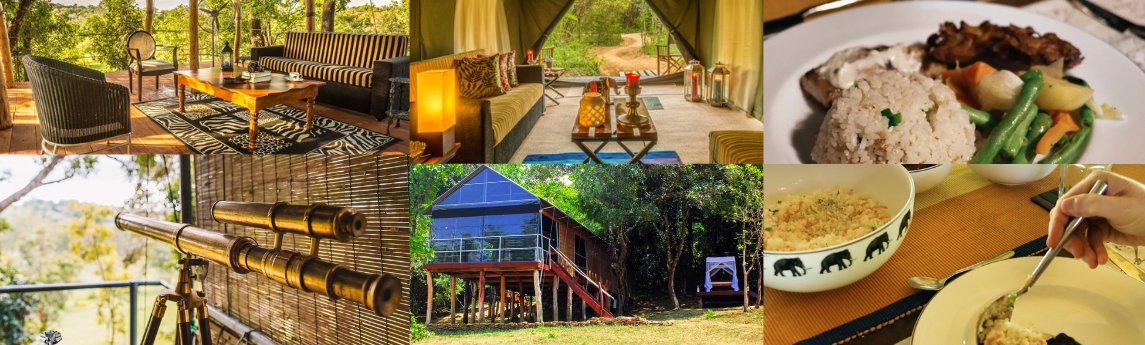 Ahaspokuna Bush Walks Camp  Background image
