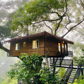 tree Nature Resort  logo