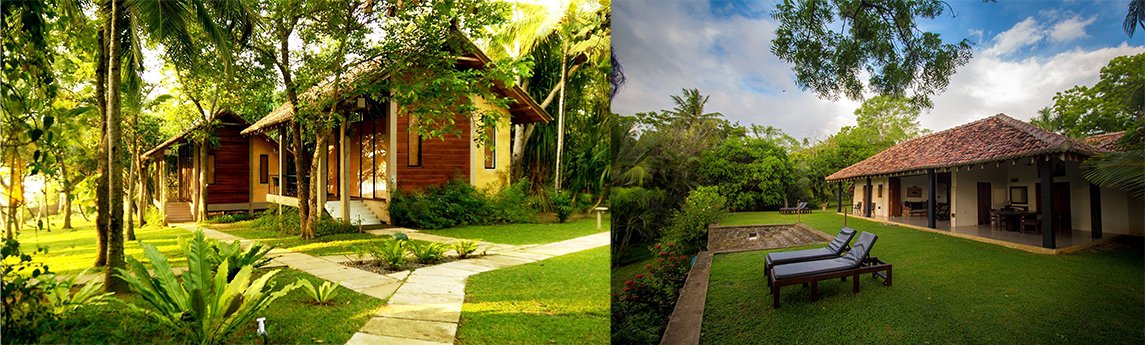 Tangalle Five Background image