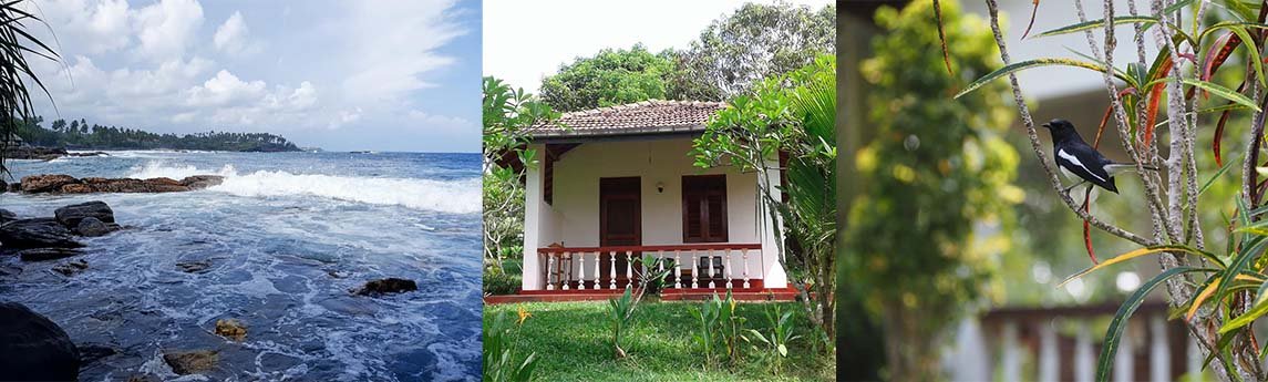 Rocky Point Beach Bungalows Background image