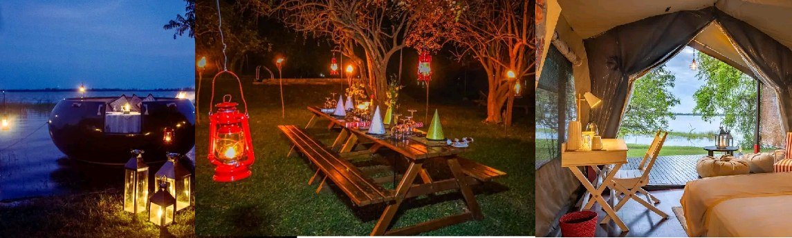 Flameback Eco Lodge  Background image