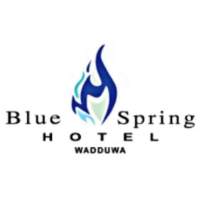 BLUE SPRING HOTEL logo