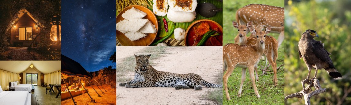 Makini Bush Camp Background image