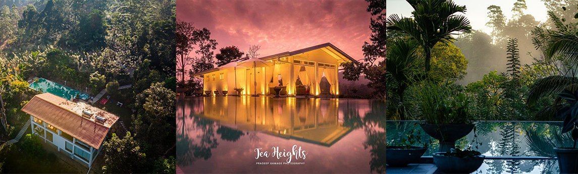 Tea Heights Background image