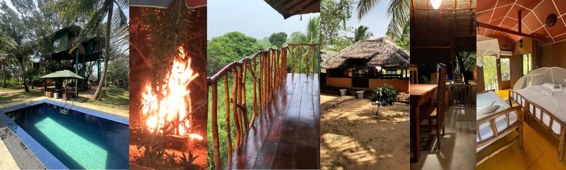 Yala Eco Tree House  Background image
