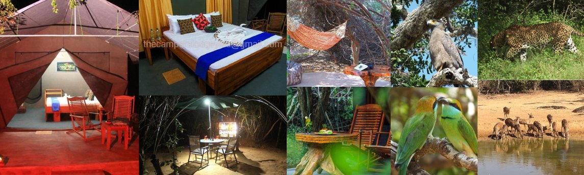 The Campers Lodge Yala  Background image