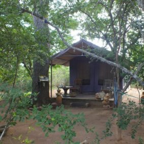 The Campers Lodge Yala  logo