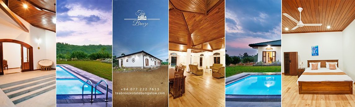 Tea Breeze Estate Bungalow Background image