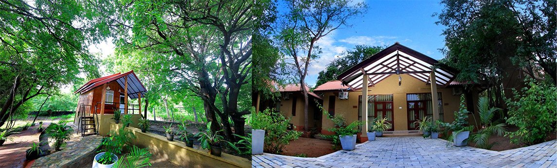 Safari Lodge Yala Background image