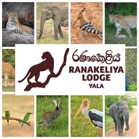 Ranakeliya Lodge - Yala logo