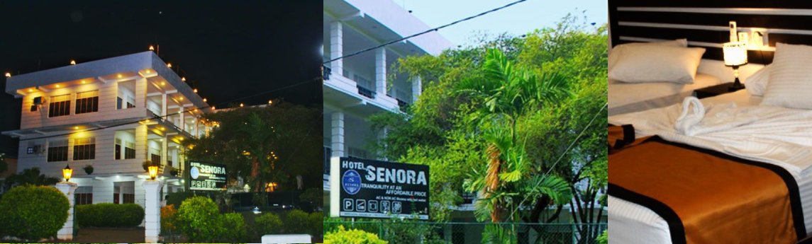 Hotel Senora Background image