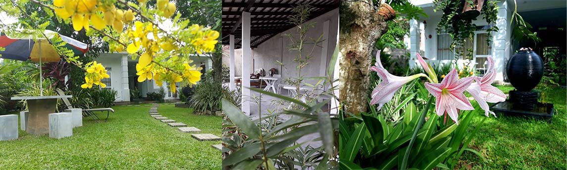 Villa olga Background image