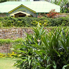 Amba Estate logo