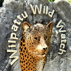 Wilpattu Wild Watch logo