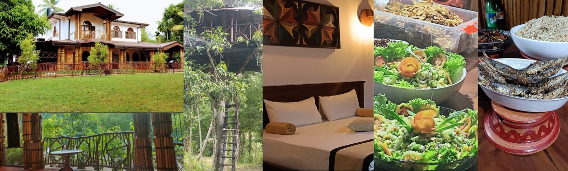 Xotic Resort  Background image