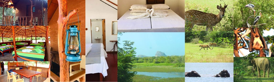 Rivosen Yala Camp & Safari  Background image
