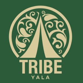 Tribe Yala logo